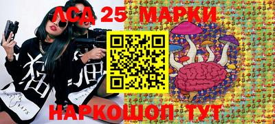 спиды Шахты