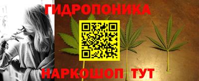 спиды Шахты