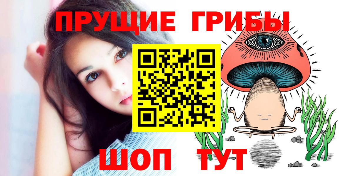 Псилоцибиновые грибы Psilocybe Ессентуки