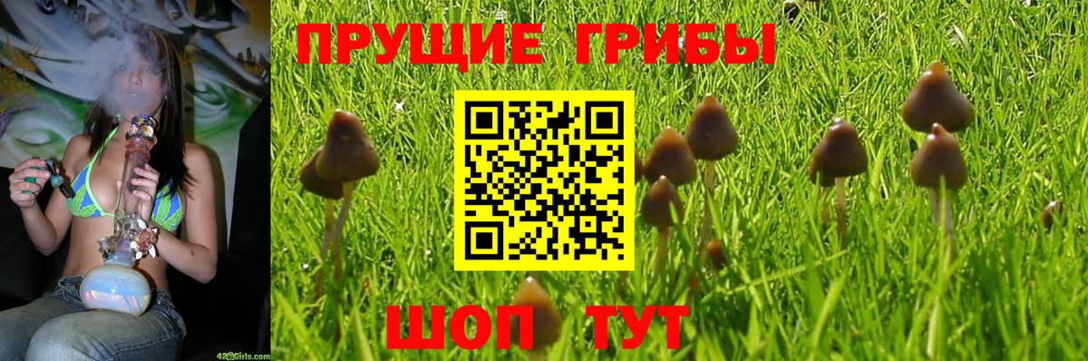 Ессентуки  Галлюциногенные грибы ЛСД  Вход с VPN  Галлюциногенные грибы ЛСД 